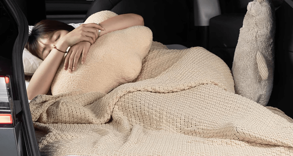 The Perfect Camping Upgrade for Your Tesla Model Y : TPARTS Mattress